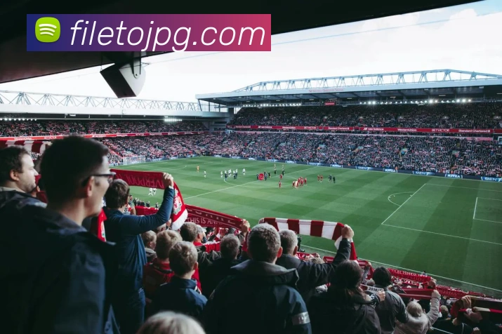 pg官网服务体系